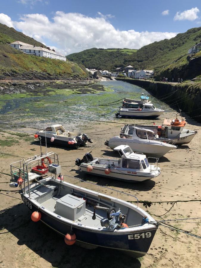 Polrunny Farm Blackberry Cottage - Cornwall Bliss In Sight Of The Sea Boscastle Exterior foto
