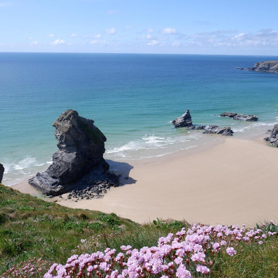 Polrunny Farm Blackberry Cottage - Cornwall Bliss In Sight Of The Sea Boscastle Exterior foto