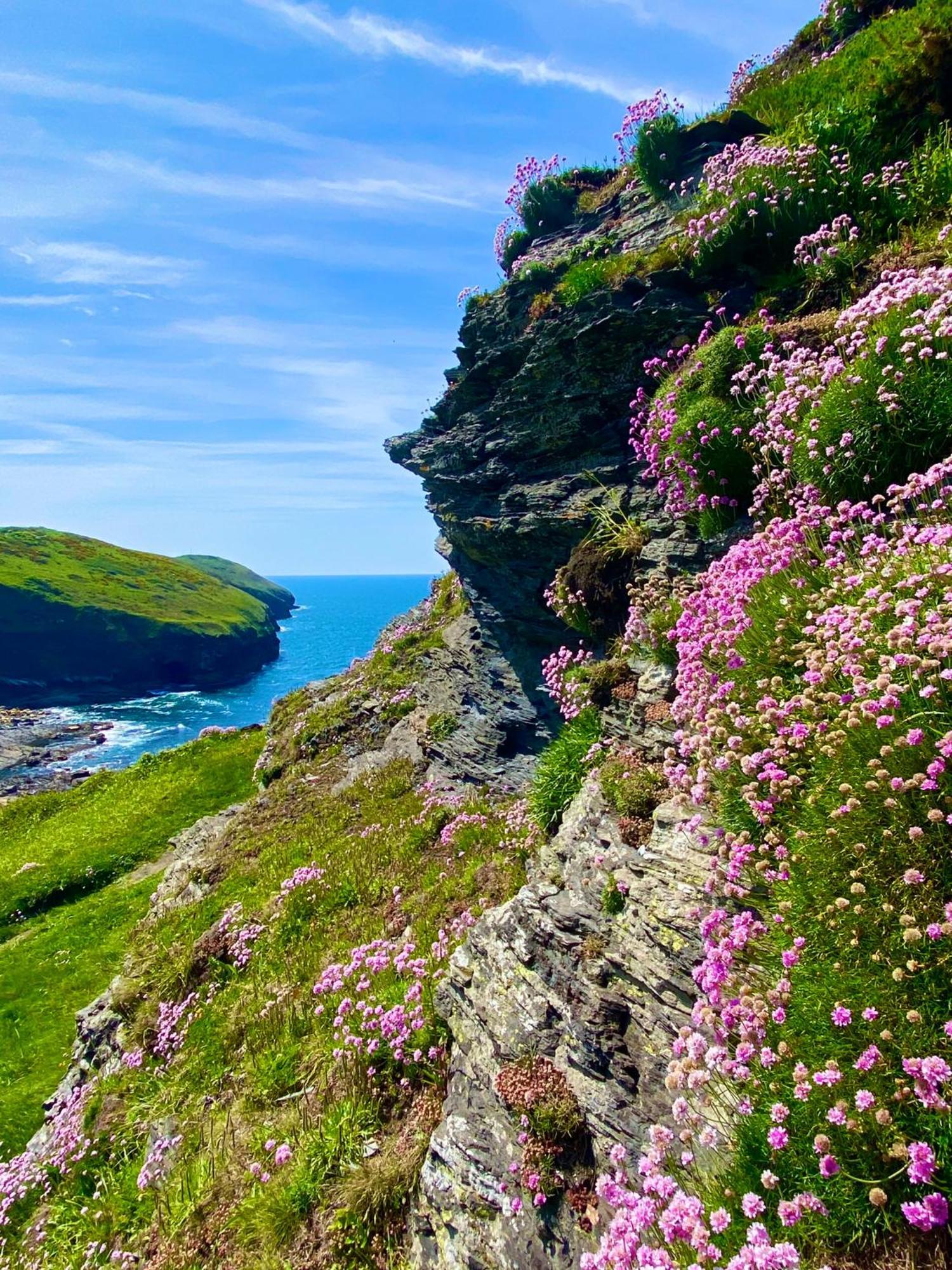 Polrunny Farm Blackberry Cottage - Cornwall Bliss In Sight Of The Sea Boscastle Exterior foto